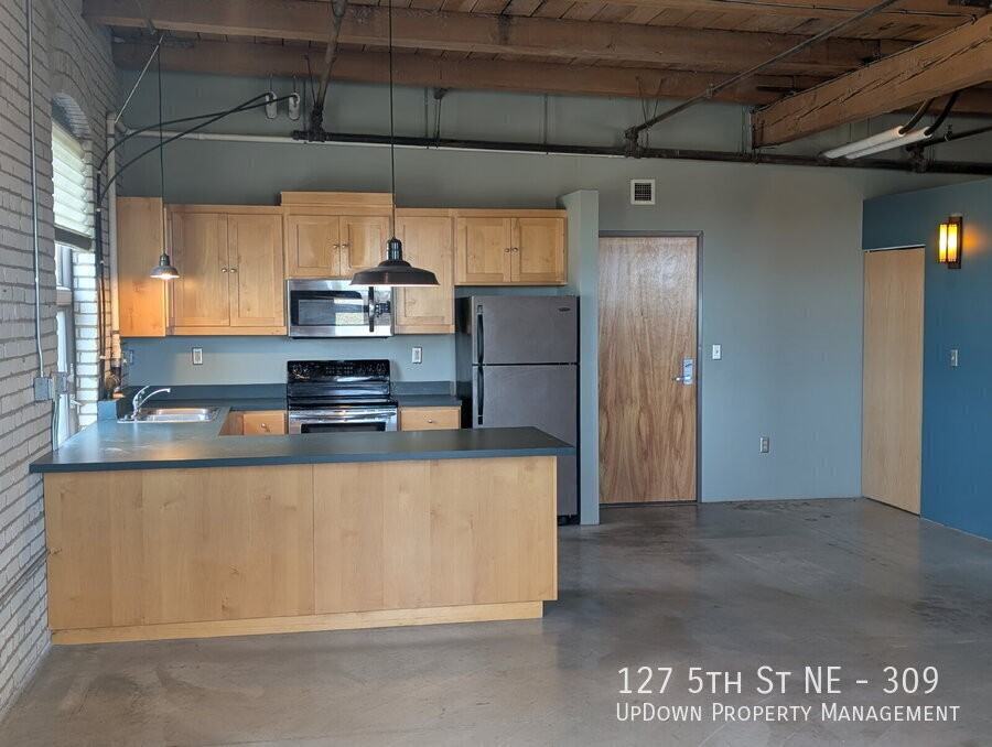 127 5th St Ne #309 - Photo 7 of 26
