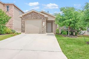 featured image of 15327 Shortwing