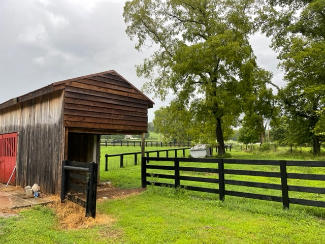 366 Mack Branch Rd - Photo 6 of 20