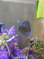 featured image of 35640 Capitola Ct