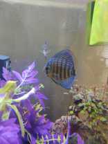 35640 Capitola Ct - Photo 1 of 1