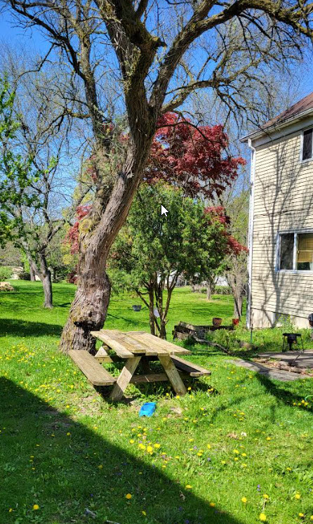 2719 Narraganset Dr - Photo 7 of 20