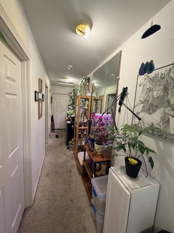 226 D St Nw - Photo 5 of 6