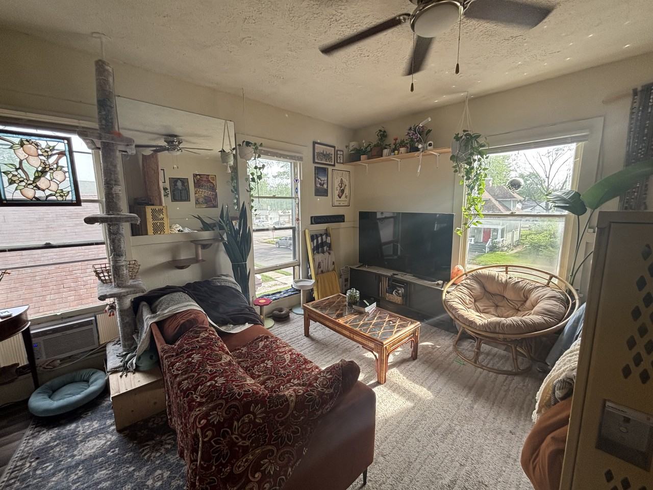 707 S 17th St #3 - Photo 4 of 9