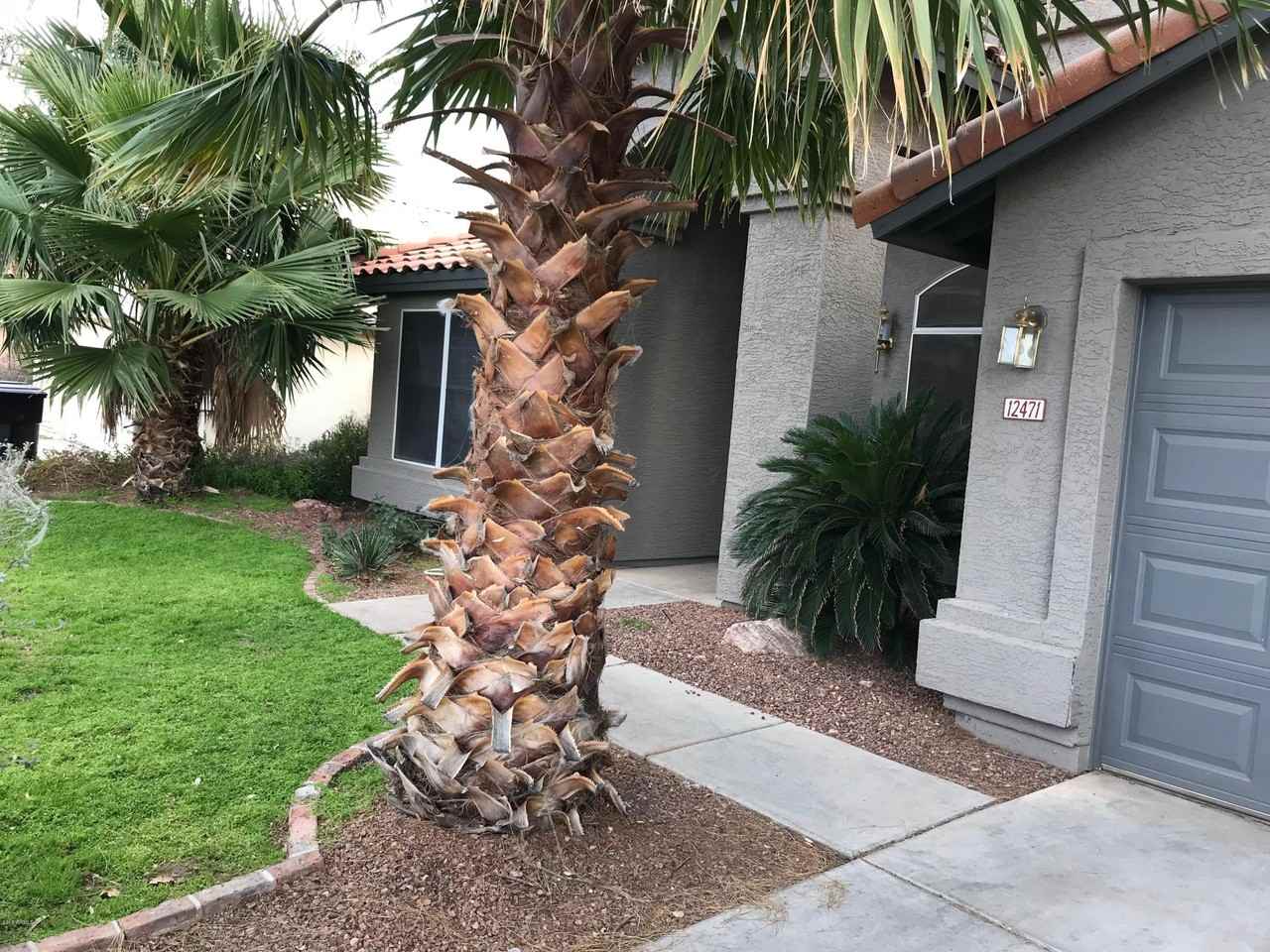 12471 W Holly St - Photo 2 of 45