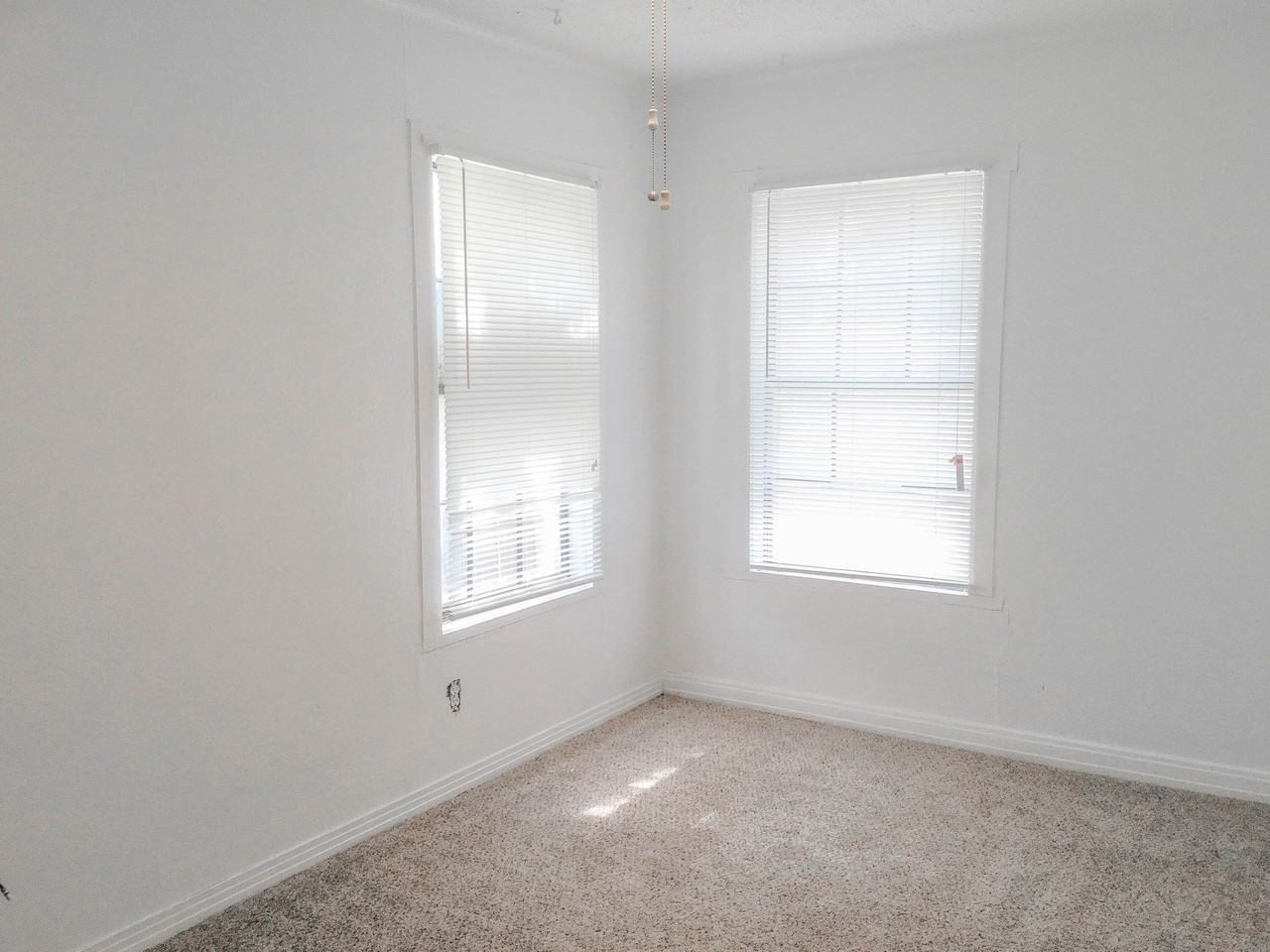 3003 Avenue V - Photo 5 of 6