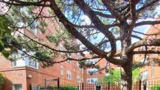 2410 W Farragut Ave #3B - Photo 1 of 1