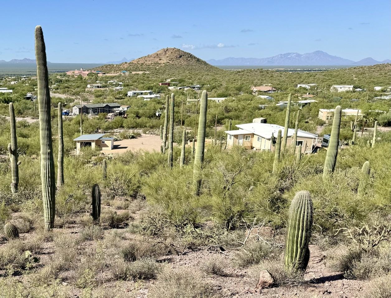 5725 S Marshall Pl #1 - Photo 3 of 30