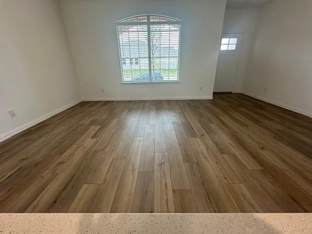 3205 Kiskadee Ct - Photo 4 of 40