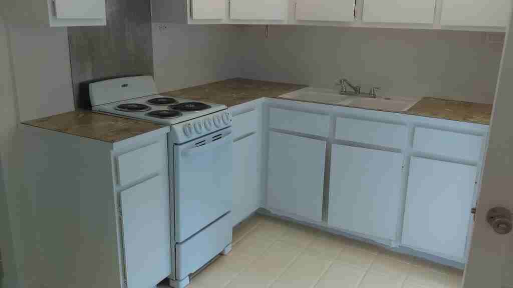 11810 Ellison Wilson Rd - Photo 5 of 9