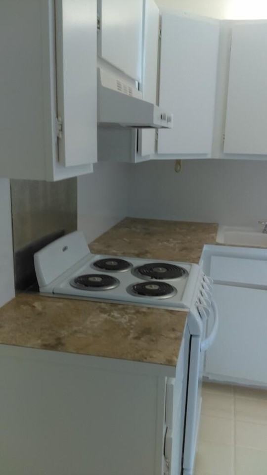 11810 Ellison Wilson Rd - Photo 6 of 9