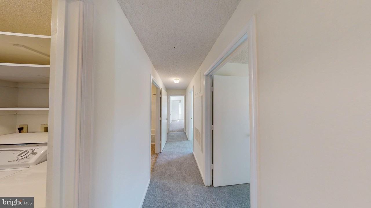 2806 Clear Shot Dr #3 - Photo 3 of 14