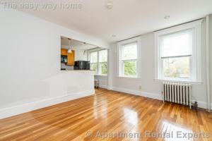 featured image of 286 Chestnut Hill Ave #17