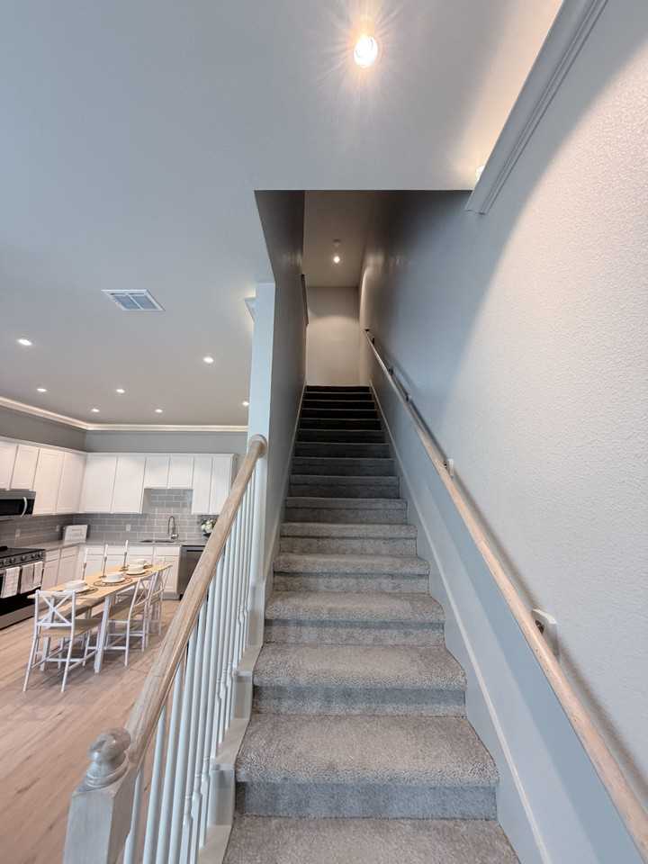 Foxglove - Photo 7 of 19