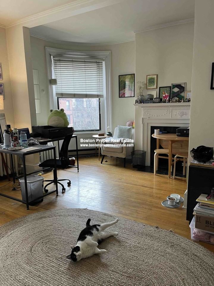 BEACON ST #1 - Photo 2 of 10