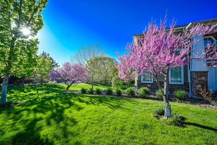 857 E Southfork Dr - Photo 5 of 50