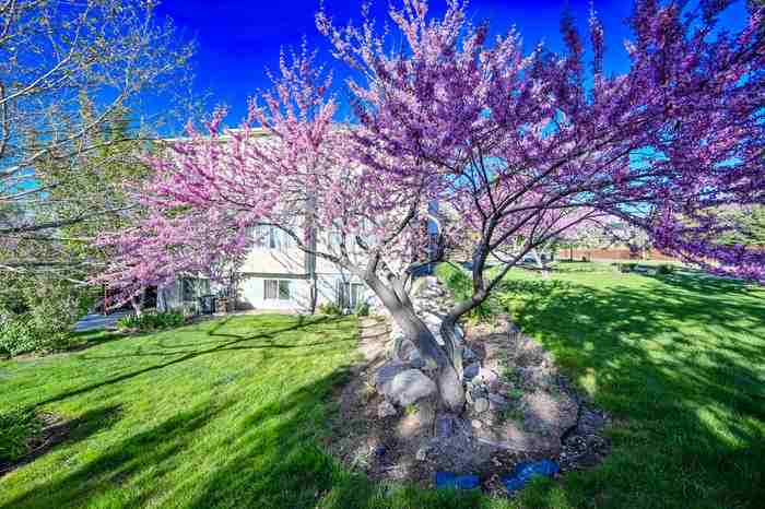 857 E Southfork Dr - Photo 6 of 50