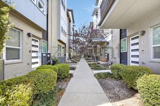 4906 Live Oak St #3 - Photo 1 of 1