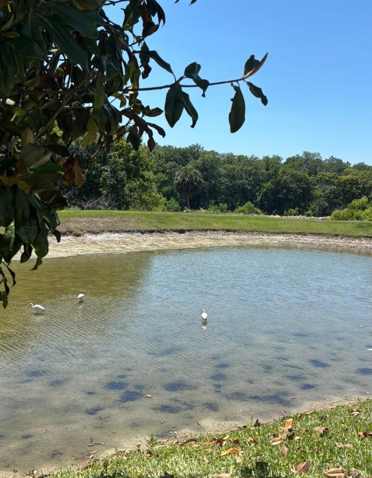 Autumnwood Grove - Photo 5 of 8