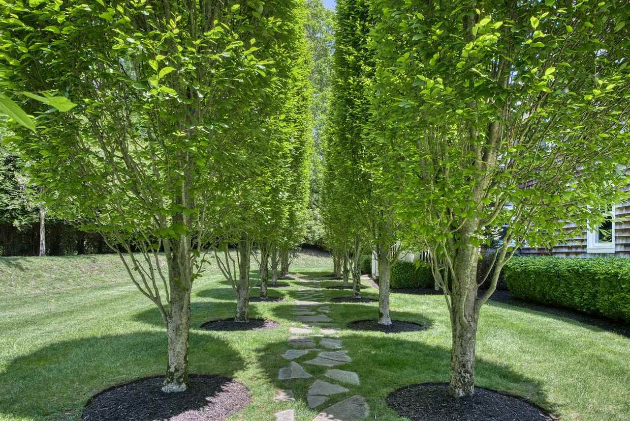 51 White Oak Ln - Photo 5 of 24