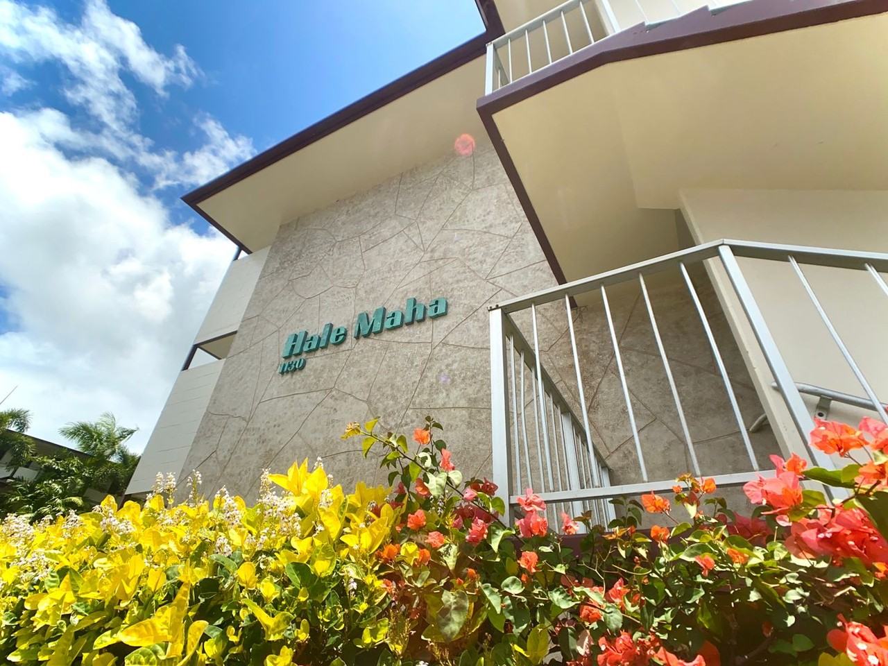 1130 Hassinger St Apt 1a #1A - Photo 3 of 9