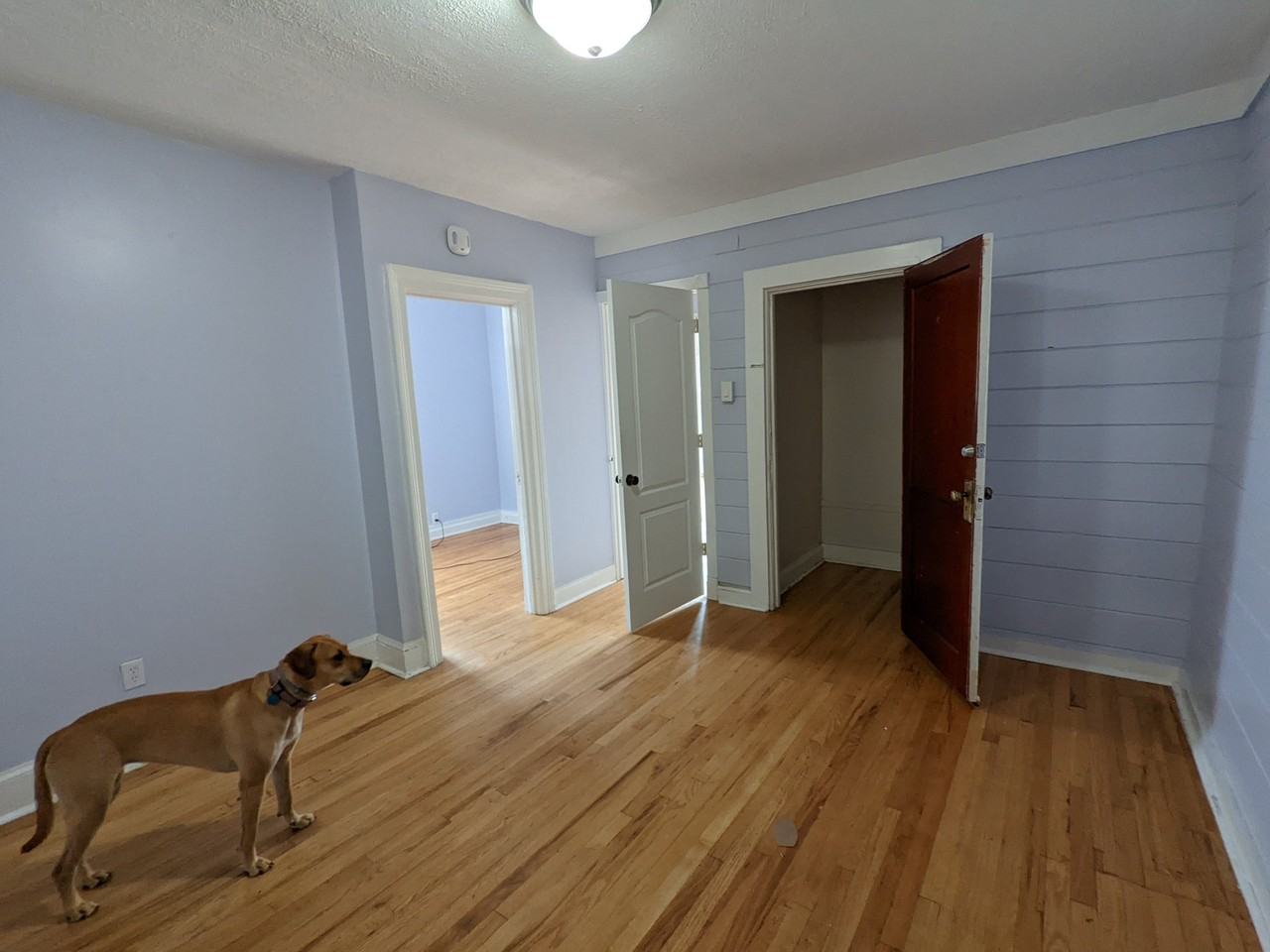 24 Cortland Pl #2 - Photo 5 of 19