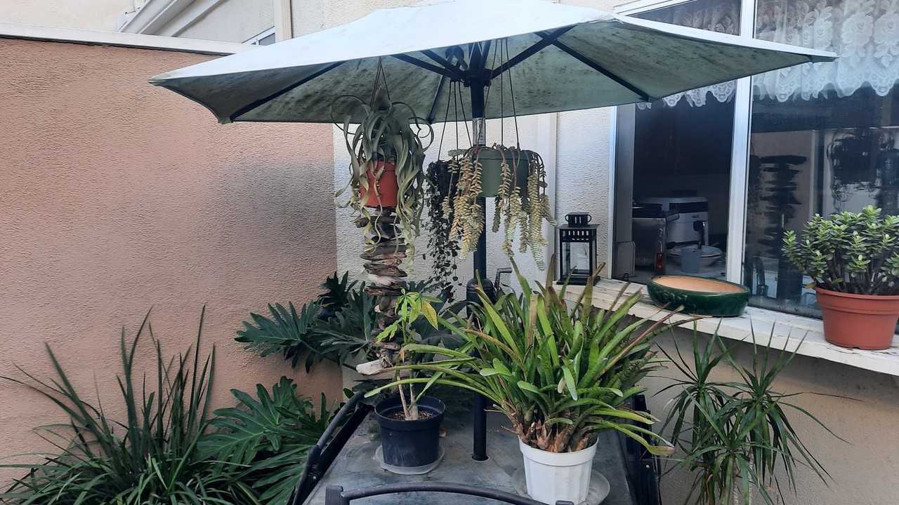 114 Oxford - Photo 7 of 7