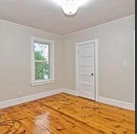 25R Saunders St #25R - Photo 6 of 16