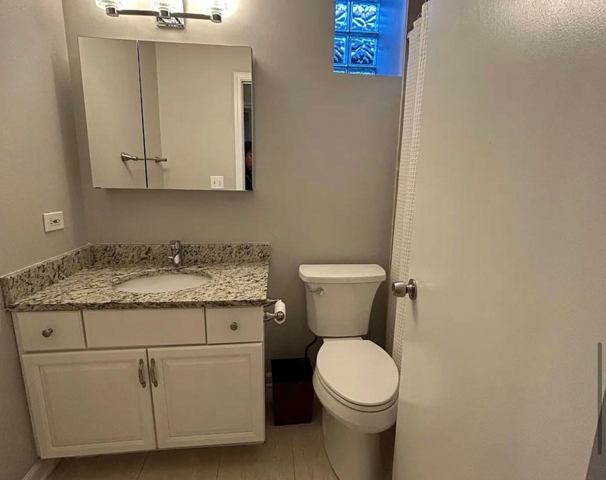 3232 S Wells St #2F - Photo 7 of 13