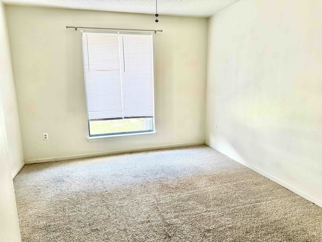 9645 Siegen Ln #1 - Photo 5 of 14