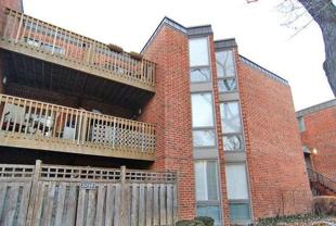 2036 N Larrabee St #8-302 - Photo 1 of 1