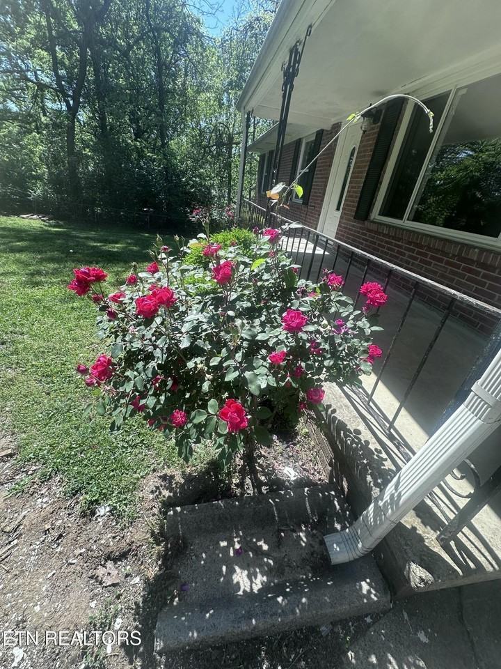 2516 Wayland Ave - Photo 7 of 27