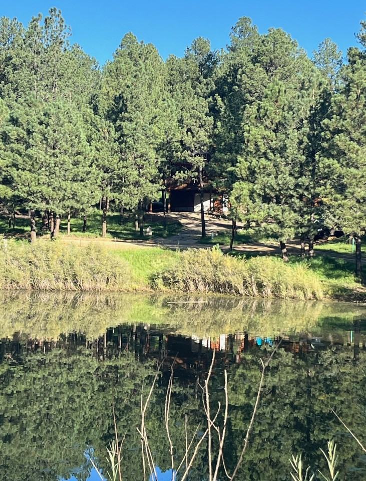 16 Forest Dr W - Photo 7 of 50