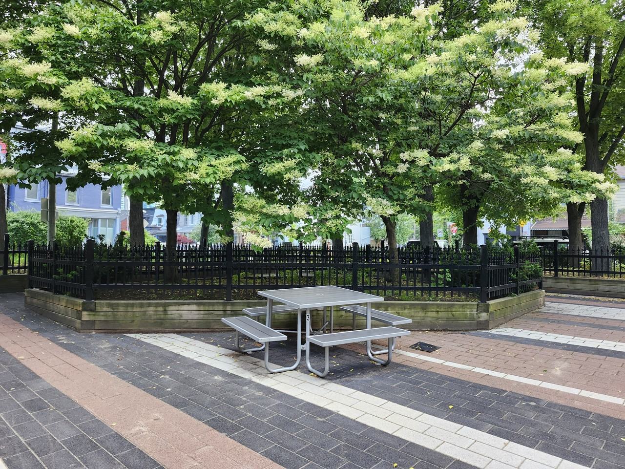 598 A Wellington Street West #598 A - Photo 5 of 18