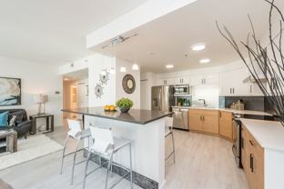 909 Burrard Street #110X - Photo 1 of 1