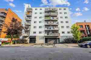 featured image of 215 Clarence St