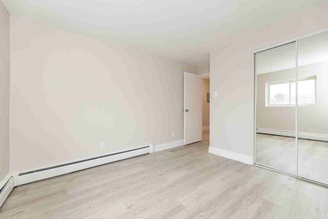 215 Clarence Street Apartments - Photo 6 of 26