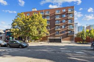 featured image of 222 Clarence St