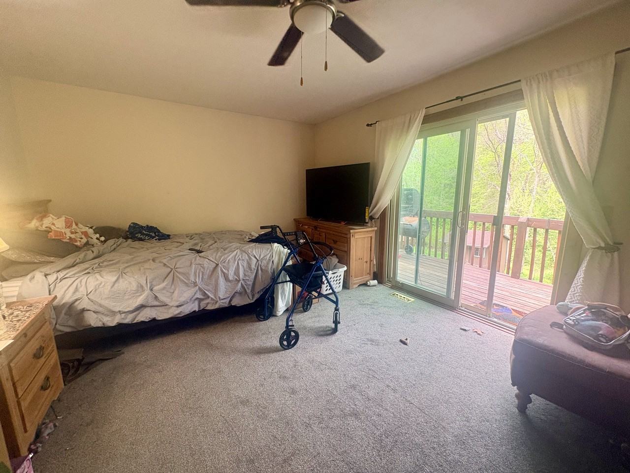 160 Foliage Ln - Photo 4 of 20