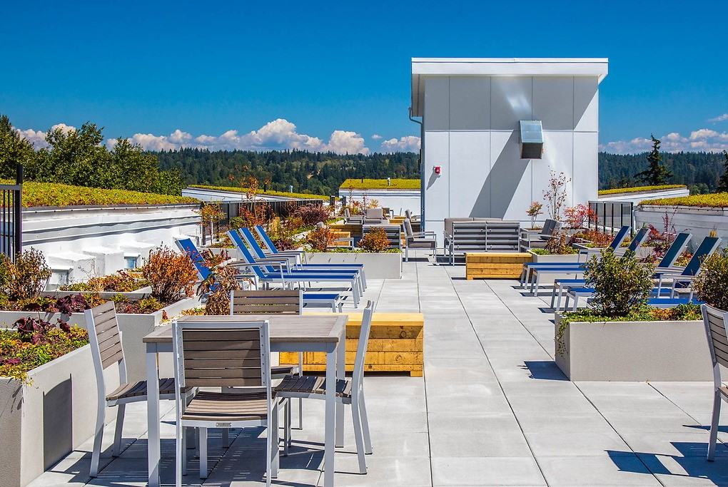 Pure Redmond - Photo 2 of 42