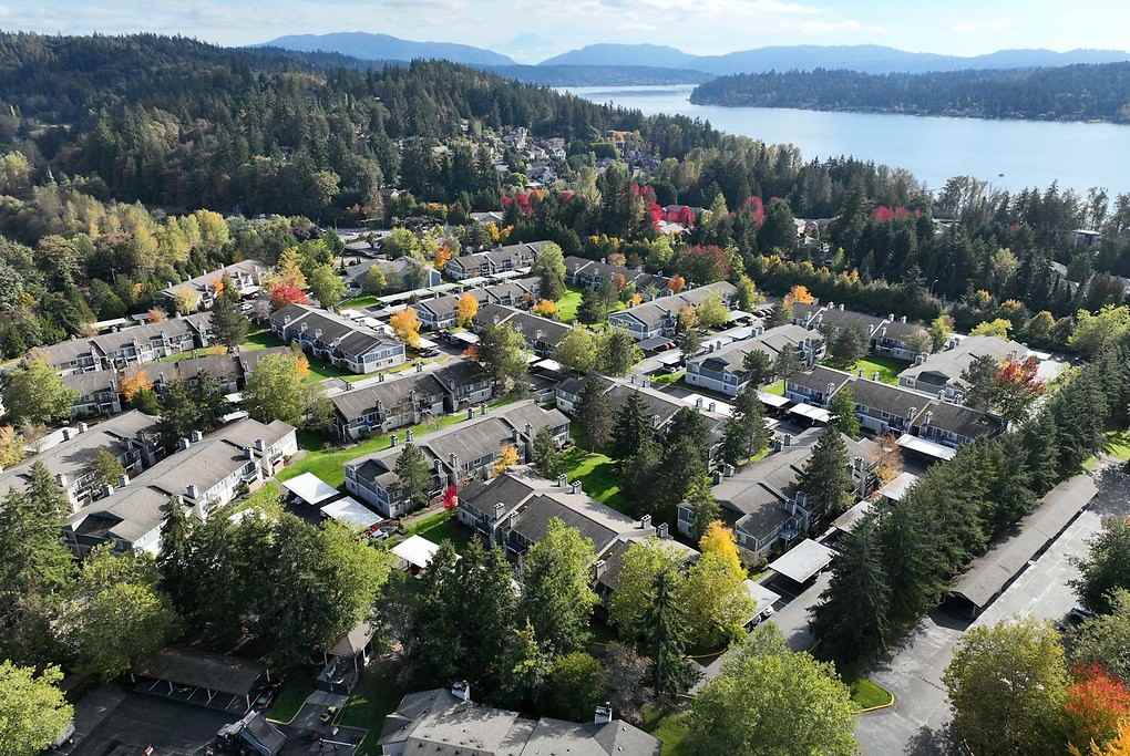 Vesta - Photo 2 of 50