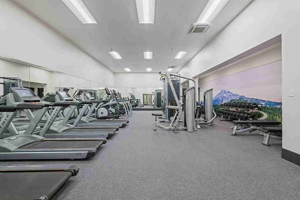 Vesta - Photo 5 of 50