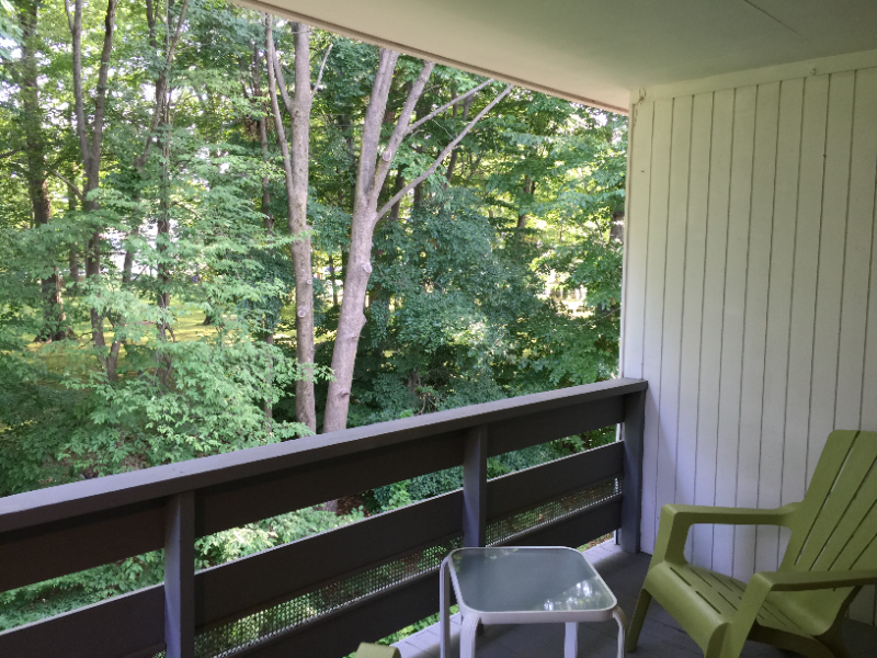 102 Oakwood Ave - Photo 5 of 6