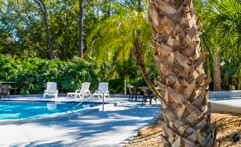 3717 S Lake Orlando Pkwy - Photo 5 of 23