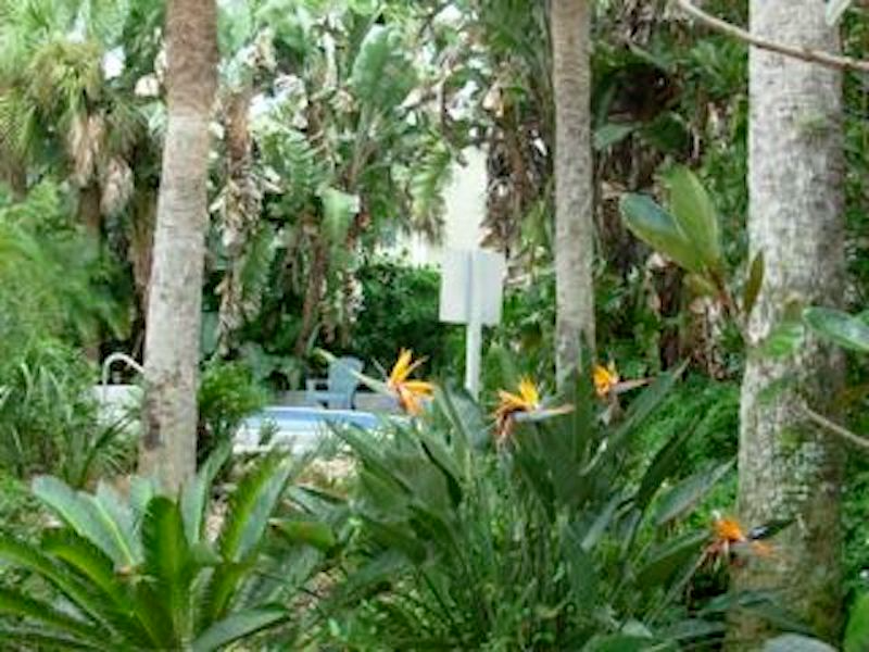 3717 S Lake Orlando Pkwy - Photo 6 of 23