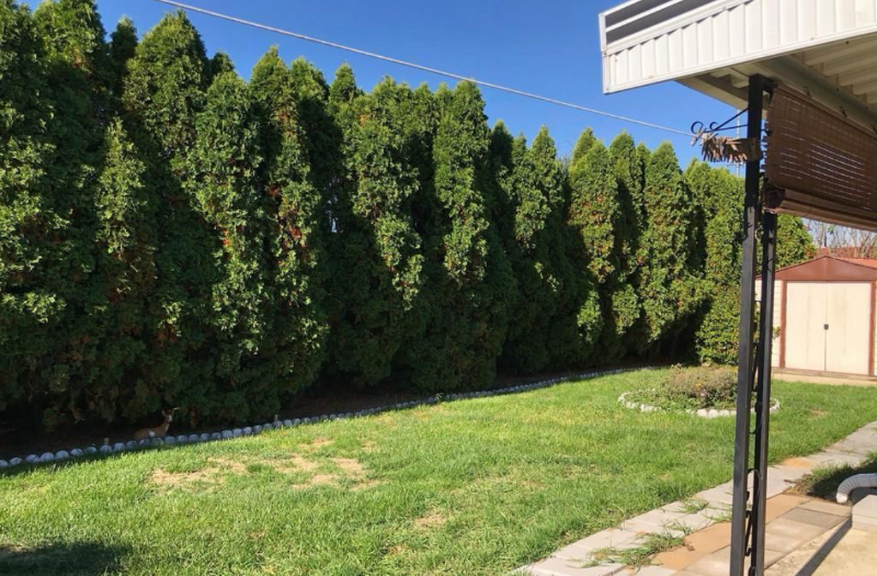 3524 Fremont St - Photo 5 of 10