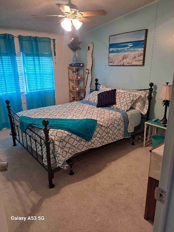 795 Country Ln #181 - Photo 5 of 14