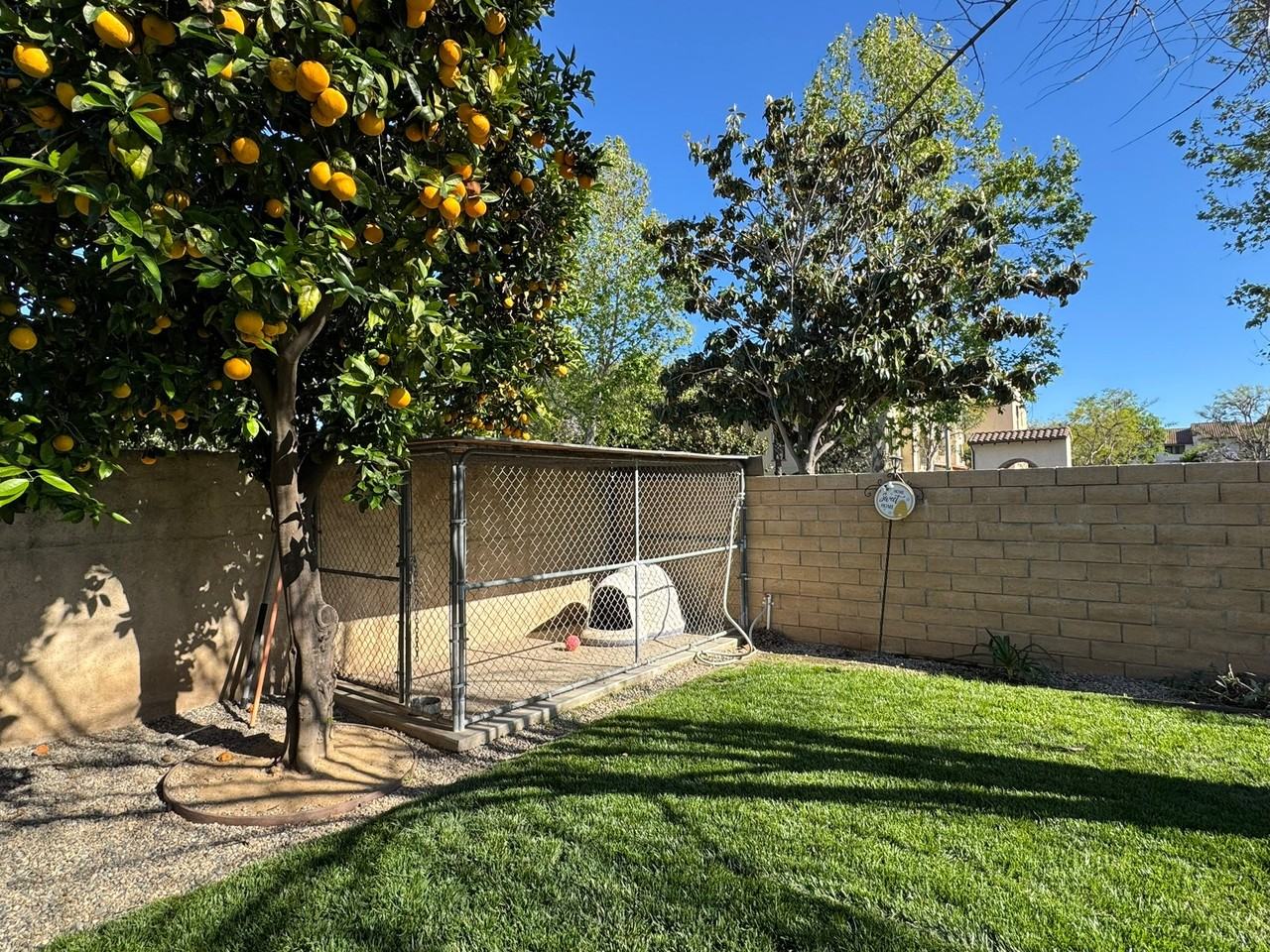 140 Spanish Moss Pl - Photo 5 of 20