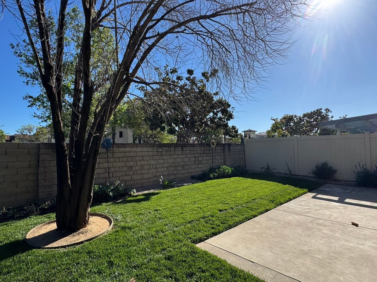 140 Spanish Moss Pl - Photo 7 of 20