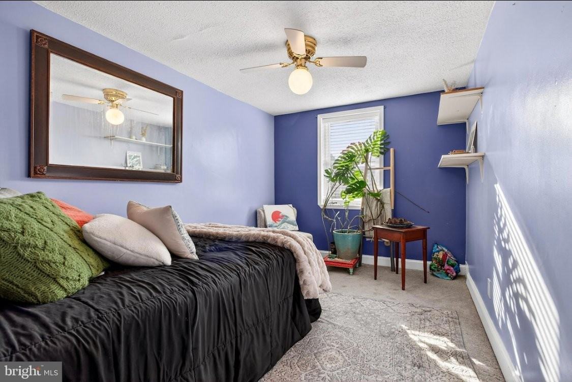 304 Pine St - Photo 3 of 17